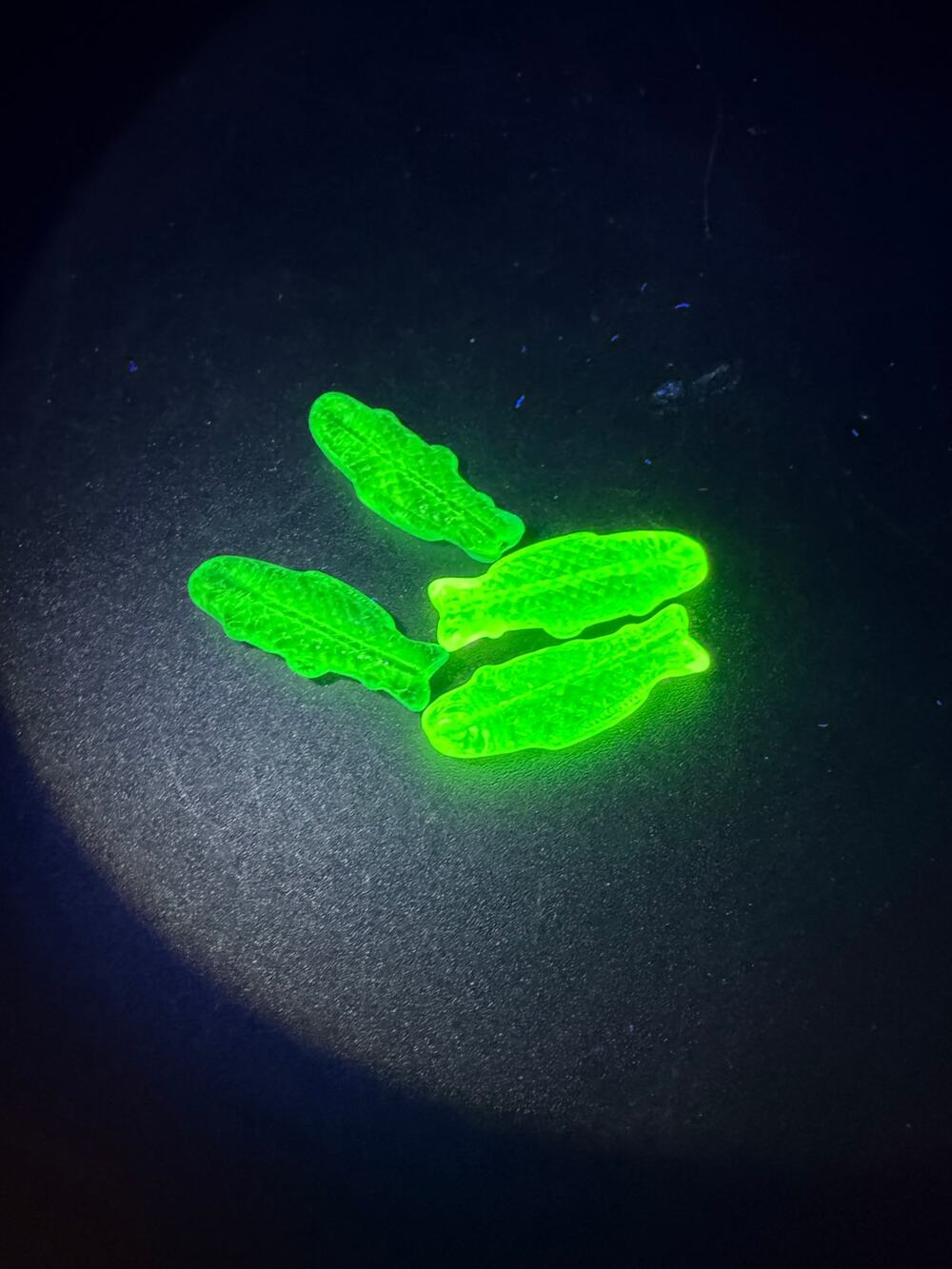 Lot of 4 Vintage Drilled Fluorescent Glass Fish Beads UV Reactive Blue Green